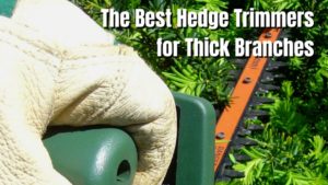 10 Best Hedge Trimmers for Thick Branches in 2024 - The Backyard Pros