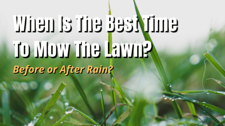 When is the Best Time to Mow the Lawn, Before or After Rain? - The ...