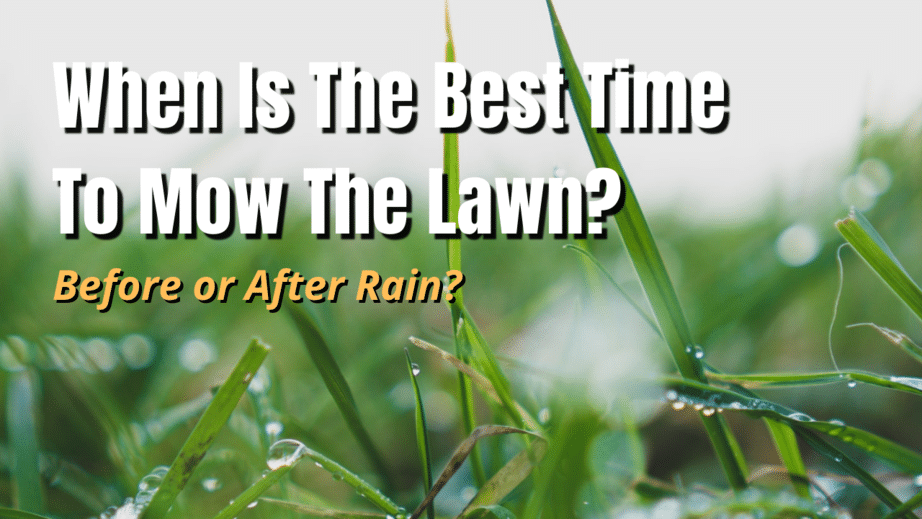 When is the Best Time to Mow the Lawn Before or After Rain The