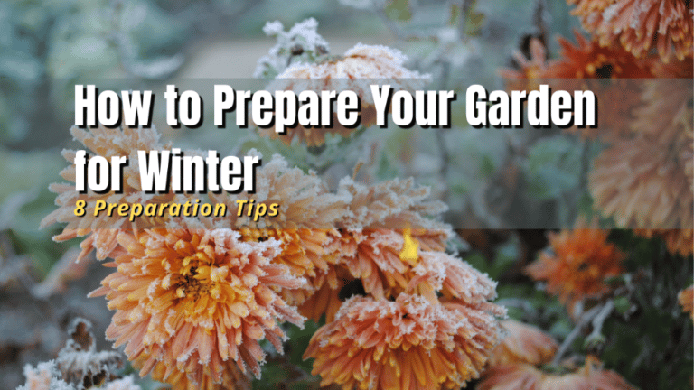 How to Prepare Your Garden for Winter | 8 Tips - The Backyard Pros