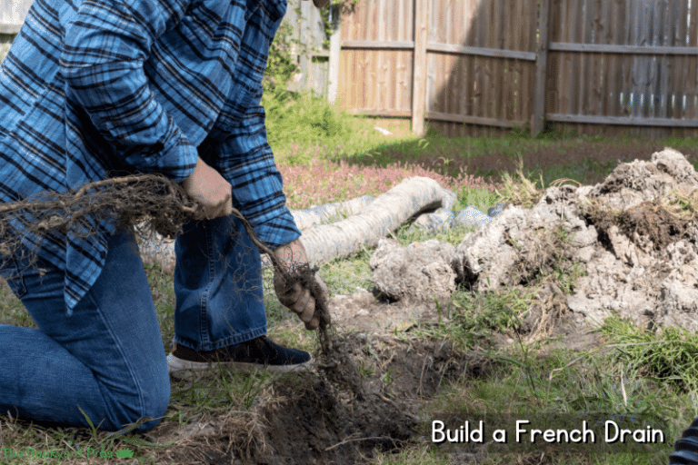 9 Ways to Stop Water Runoff from Neighbor's Yard - The Backyard Pros