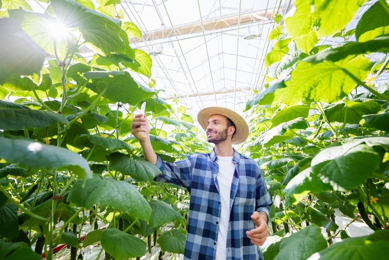 taking photo of plants