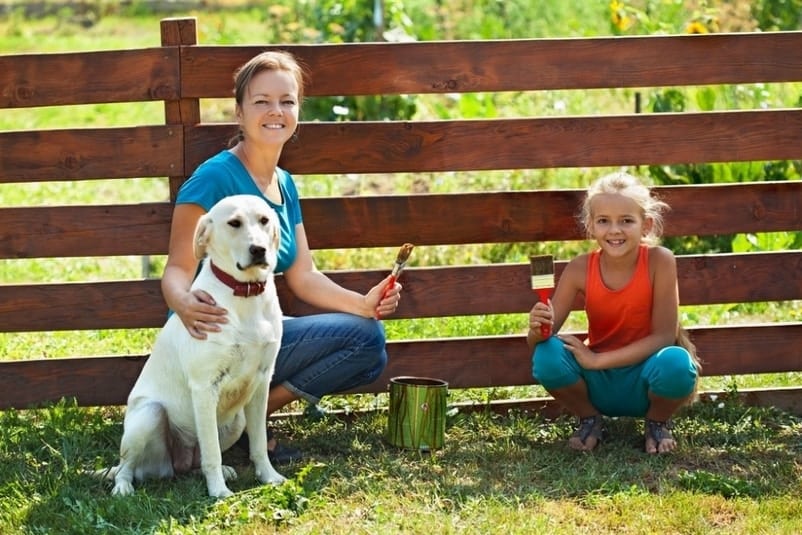 staining a wood fence mom and daughter