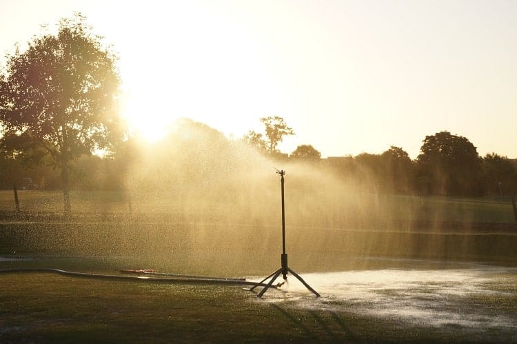 watering the Bermuda grass