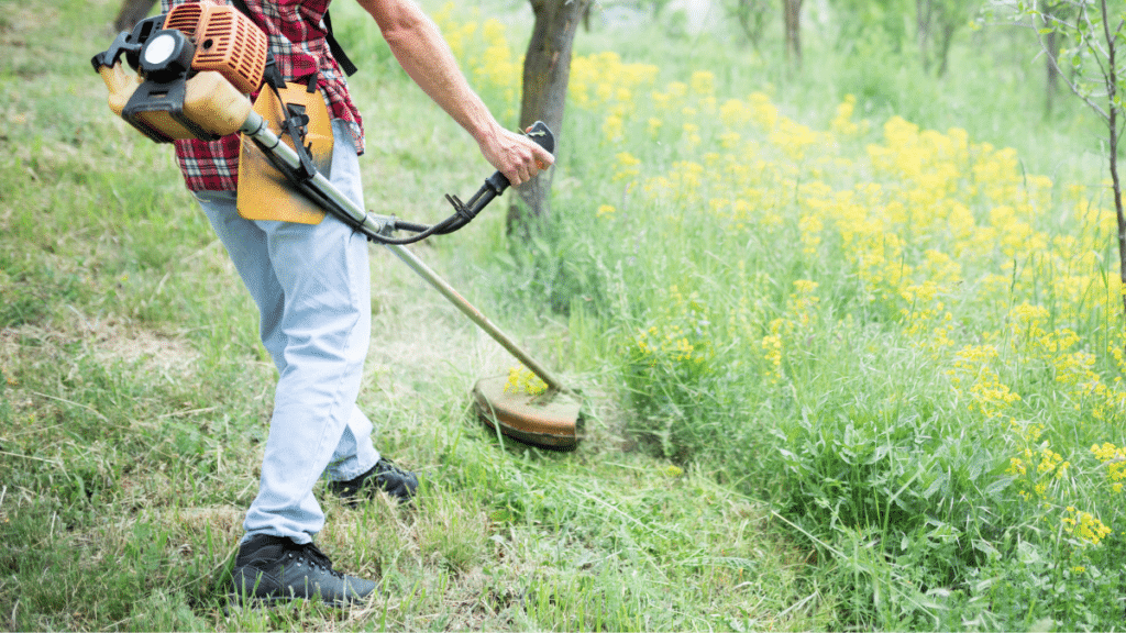 string trimmer tall grass 