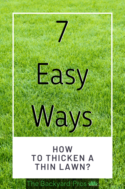 how to thicken a thin lawn pin