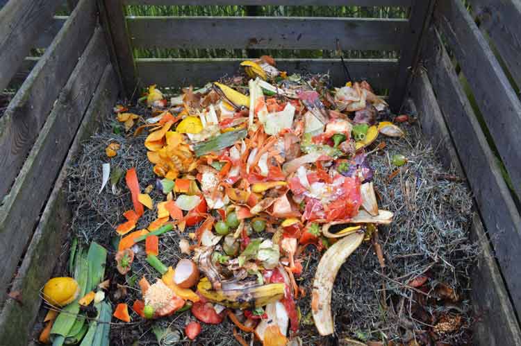 Use Your Compost