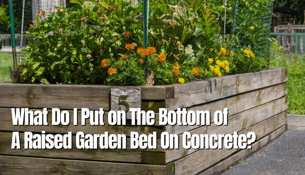 What Do I Put on The Bottom of A Raised Garden Bed On Concrete? The