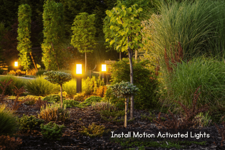 How To Keep Cats Out of Garden Mulch (10 Safe Ways) The Backyard Pros