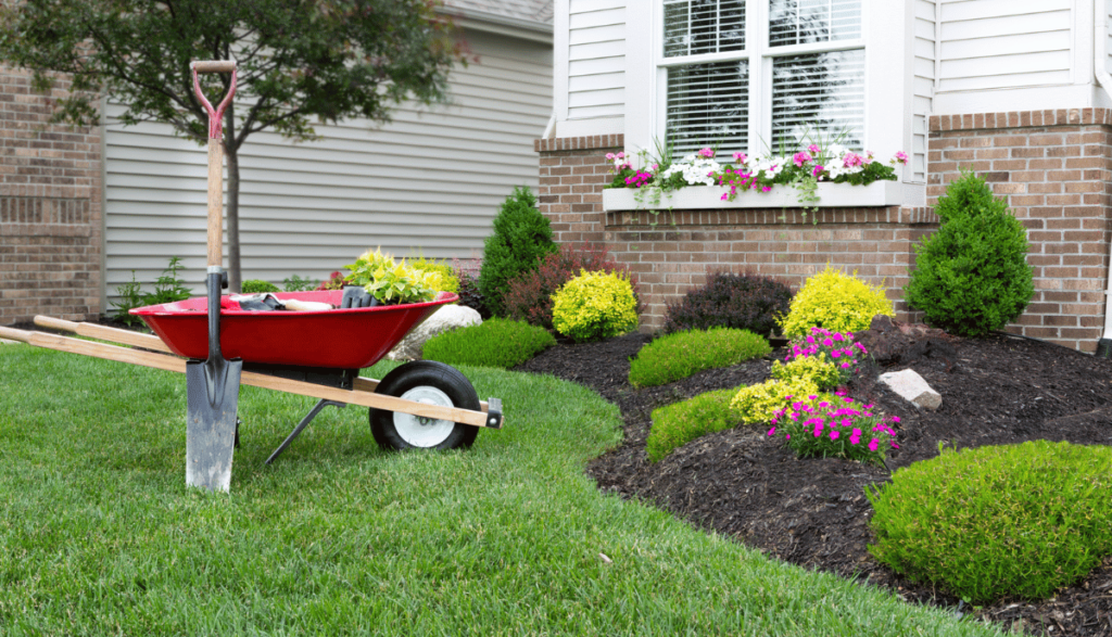 13 Cheap Ways to Make Your Yard Look Better - The Backyard Pros