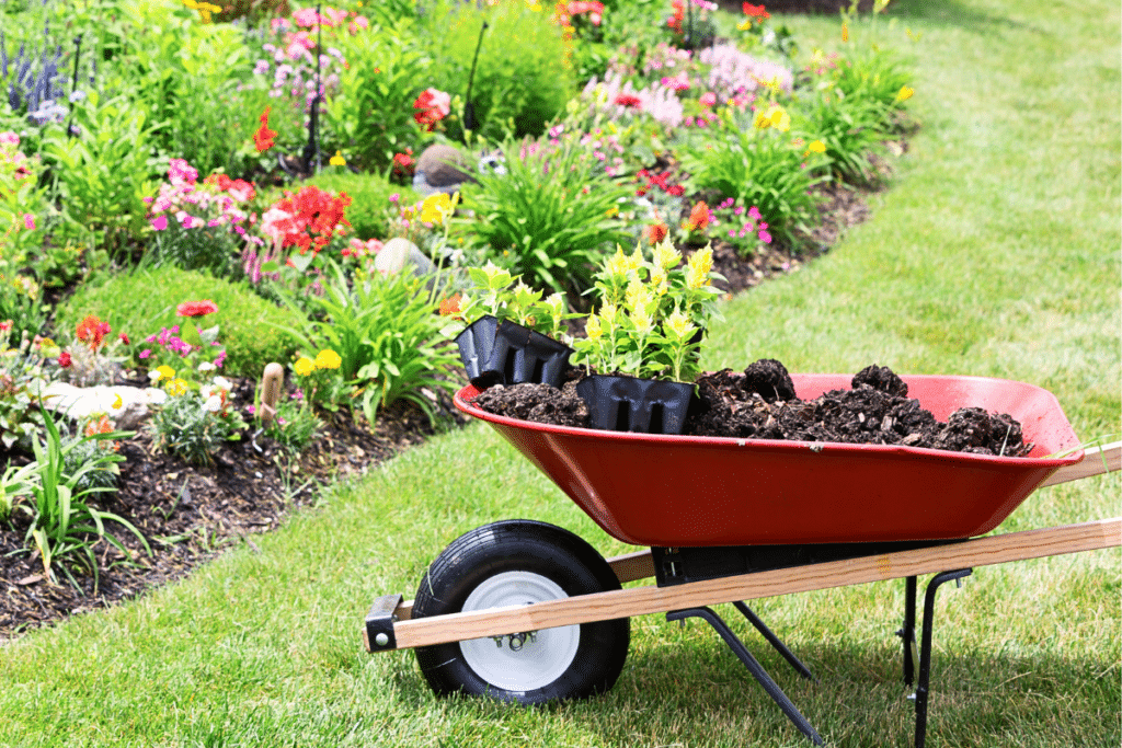 9 Cheap Ways to Landscape Your Backyard - The Backyard Pros