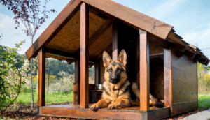 25 Outdoor Dog House Ideas - The Backyard Pros - Eco Friendly Outdoor Dog House Ideas
