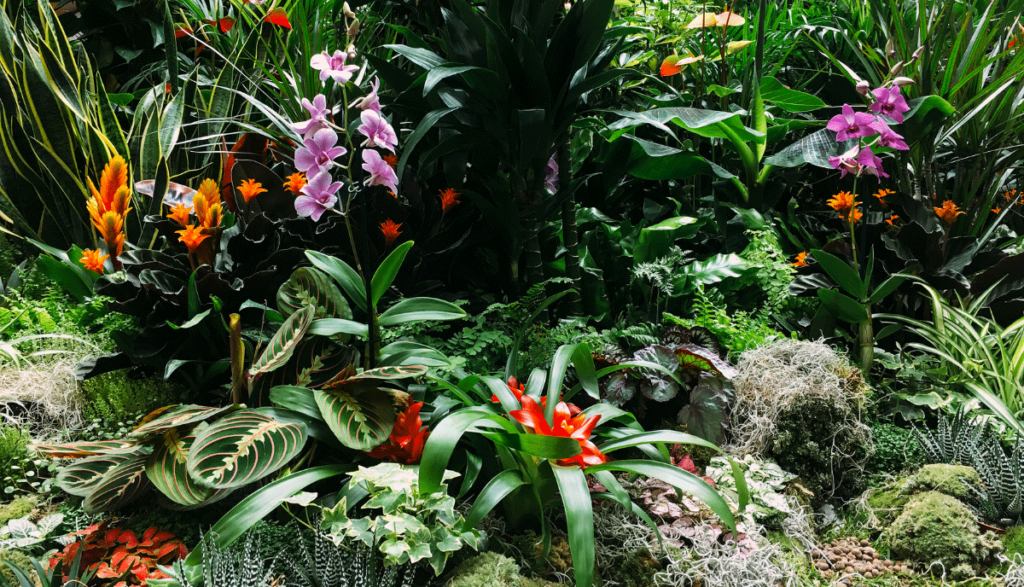 9 Exotic Plants That Are Surprisingly Easy to Grow - The Backyard Pros