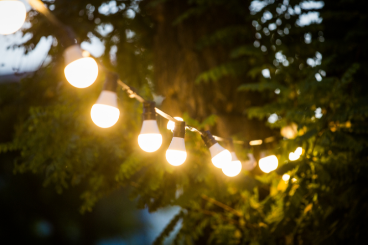 String lights are backyard magic