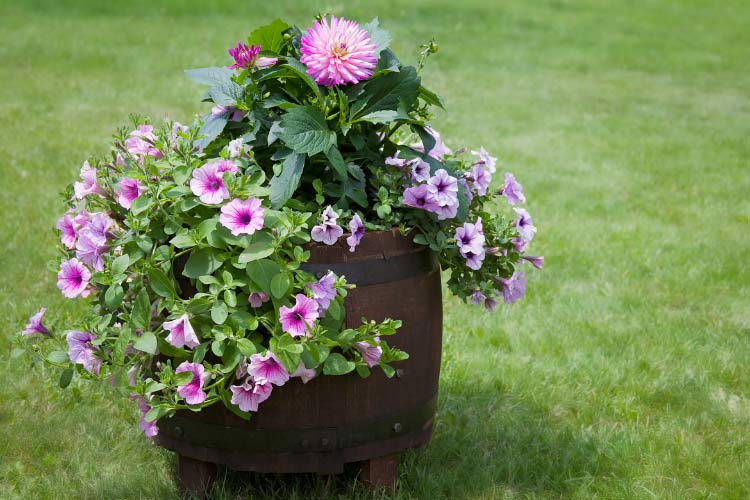 The best part is that wood looks good with any seasonal plants or flowers