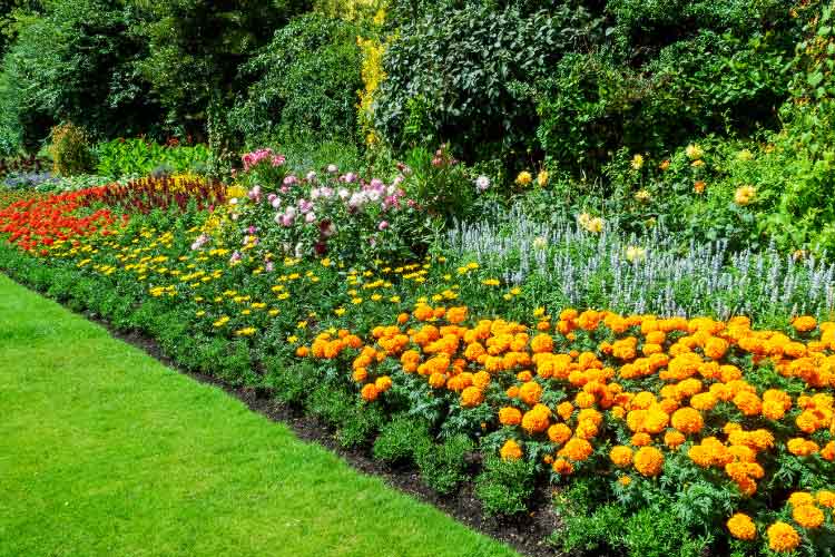 Flower beds and landscaping go together like sunflowers and sunlight