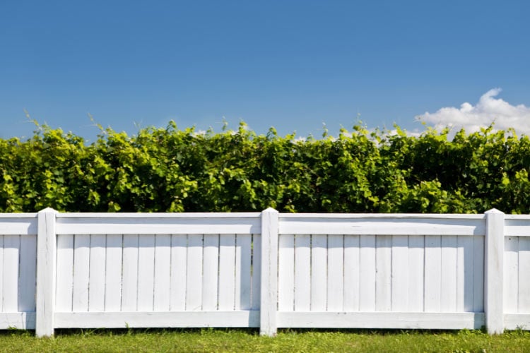 It is so recognizable that it Is become a symbol of farmhouse living