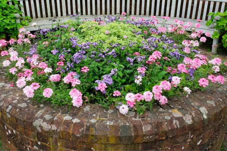 it will be much easier on your back to keep your garden intact if it is raised from the ground.