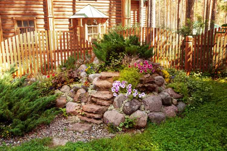 a rock garden is one of those that requires very little upkeep and even less water