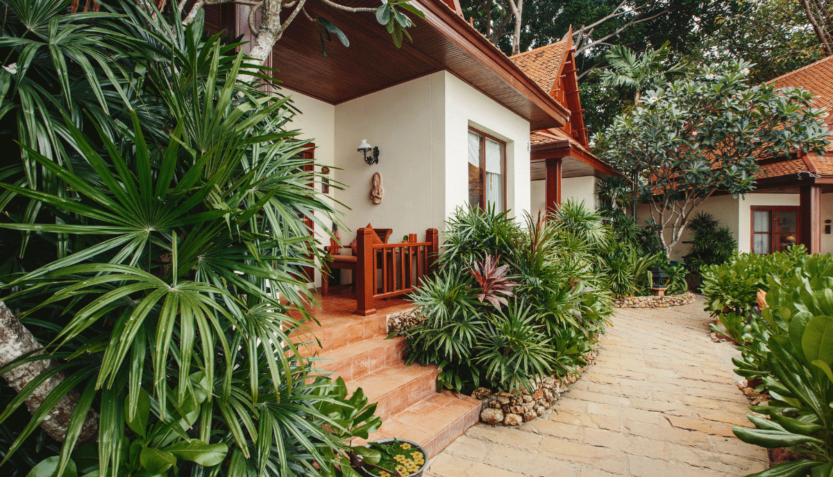 Cheap Tropical Backyard Landscaping Ideas
