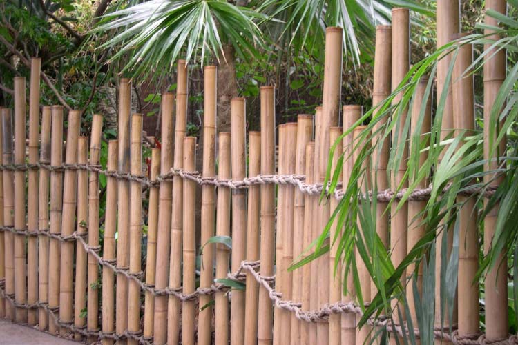 decorative fencing is a much better option