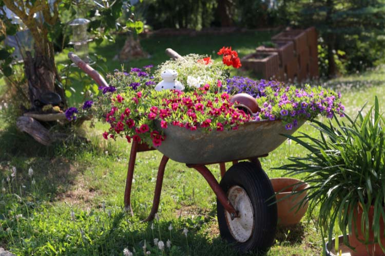 a single feature to bring your farmhouse garden to life