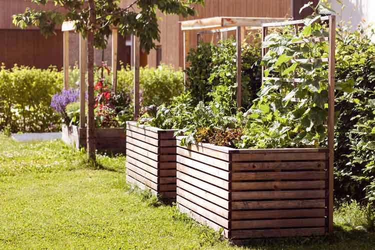 create a polished and organized outdoor space
