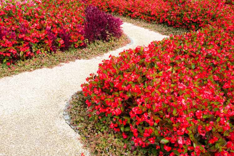 a lot more freedom to get creative and turn your plain sidewalk