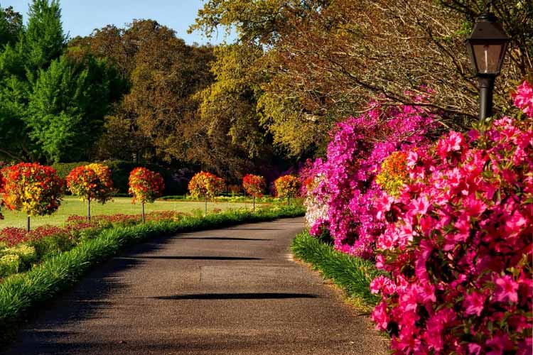 The beauty of flower beds is that if you choose the right blooms