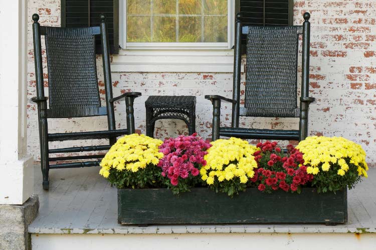 it allows you to showcase your style to neighbors and passersby
