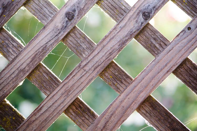 Lattice panels have the ability to disguise the unattractive sides of an above ground pool