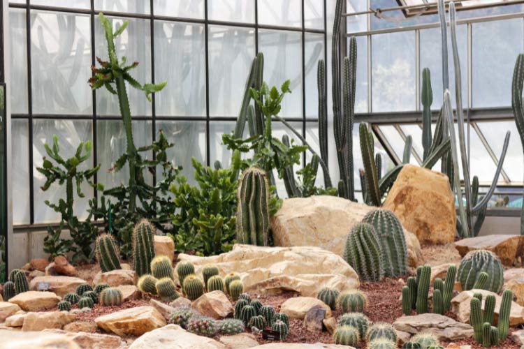 Create a layered garden to bring depth and visual appeal to your outdoor space