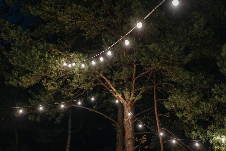 enhancing the look of your pond with lighting during the day