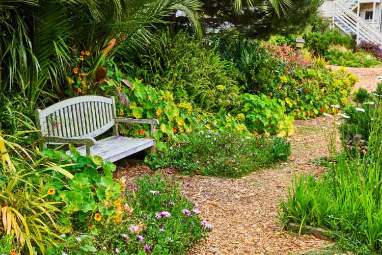 Gravel can give your space a coastal look with good drainage