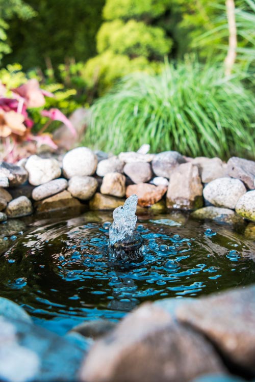 organic feel and polishes the transition between the water and the surroundings