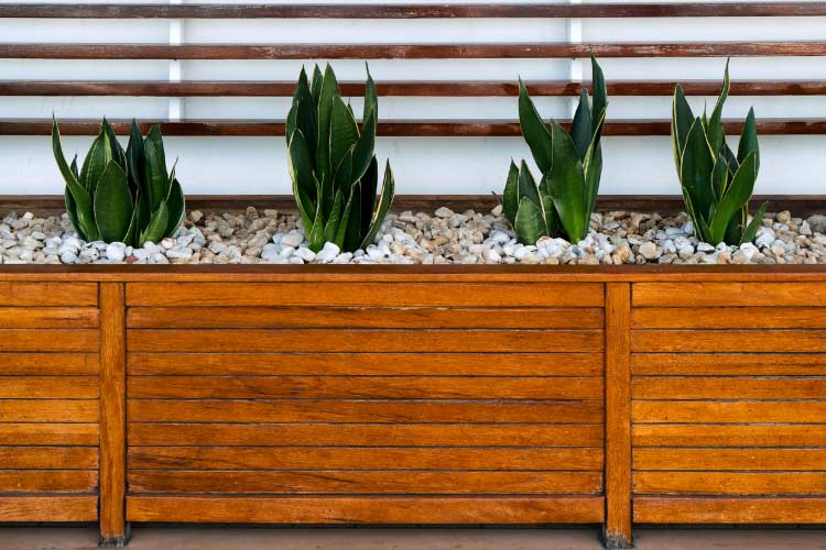 planters help retain moisture and prevent the soil from splashing