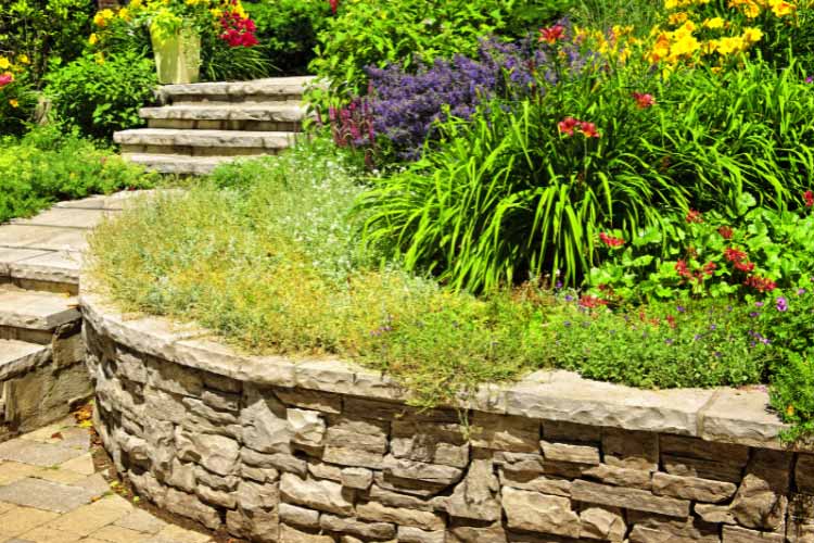 Terraced garden beds create a layered effect that allow better control over pests