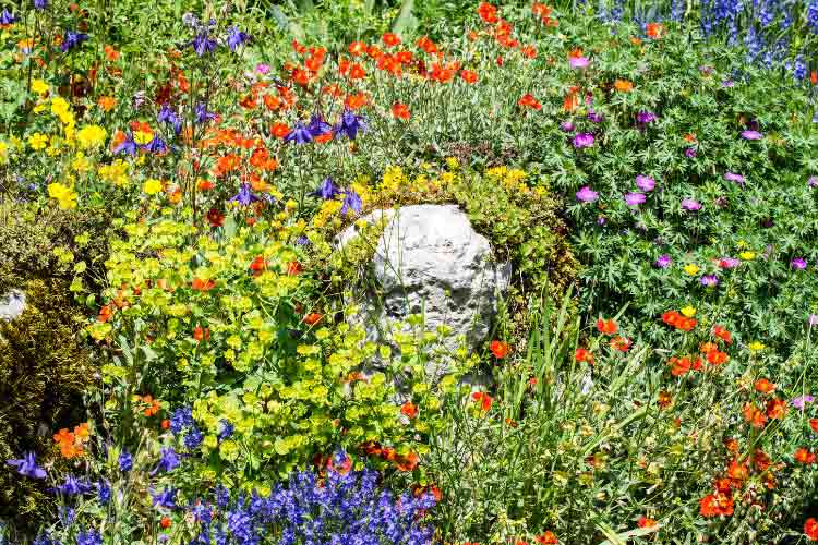River rocks in your flower beds will give you the same benefits as they would in your planters