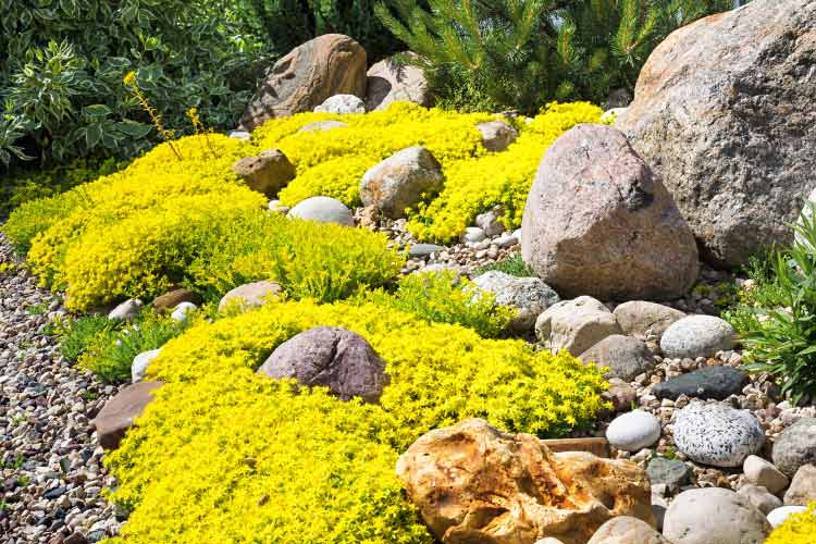 All of the river rock landscaping ideas for your yard are practical