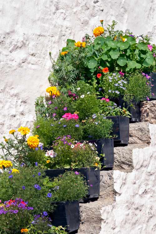 Stepped planters provide the same benefits as terraced garden beds