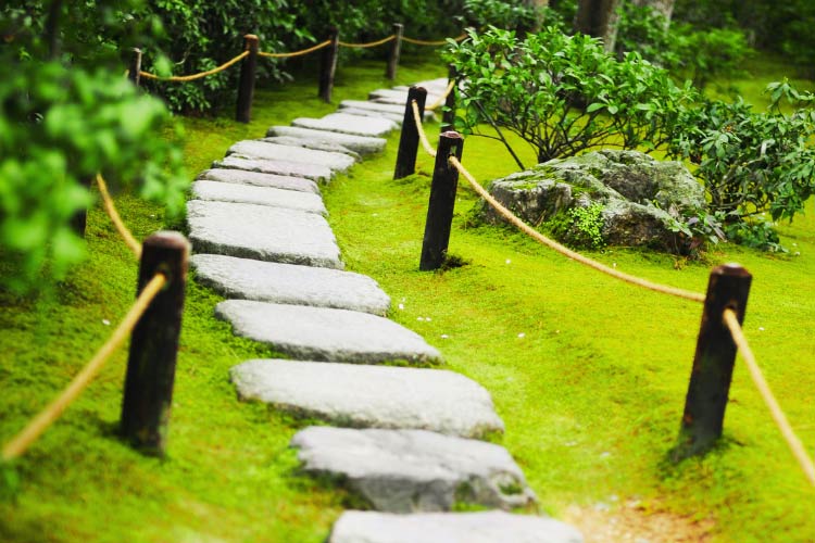 consider a defined walkway because foot traffic can disturb delicate soil and plants