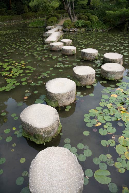 Create a pathway with stepping stones that encourages safe exploration