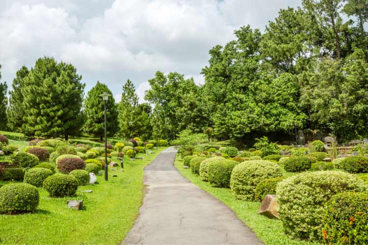 feels modern and true to minimalist landscaping by focusing on straight pathways