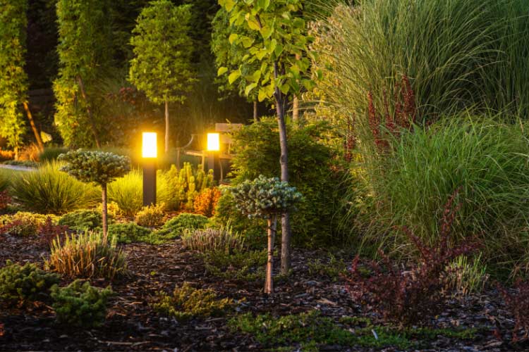 create a soothing ambiance and highlight your design elements with the right lighting