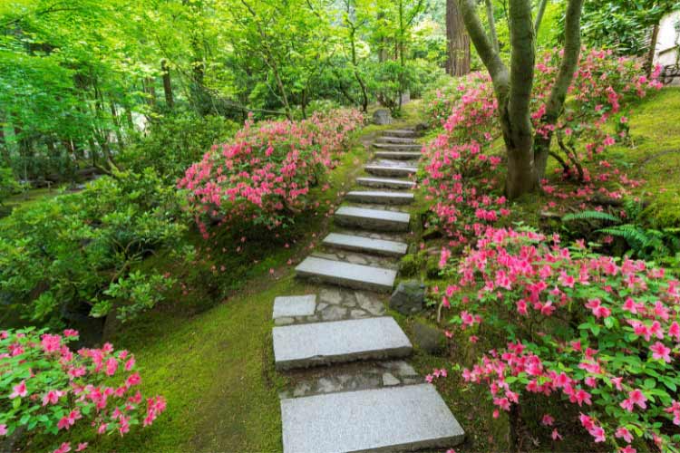 The key to all azalea landscaping ideas for a burst of color is to design your space thoughtfully