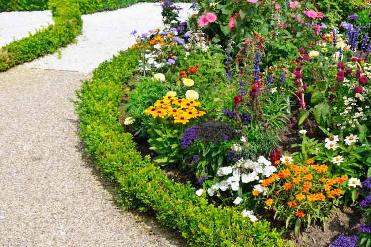 Circular flower beds are living centerpieces that bring softness and color to the structured lines of your driveway