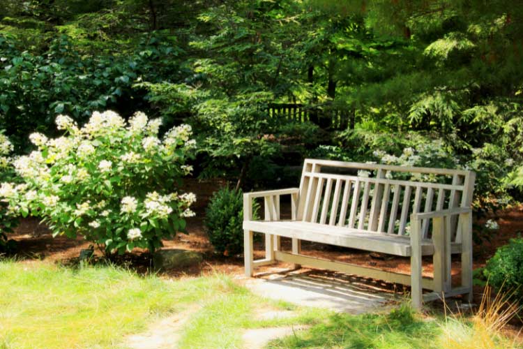 Most of the easy landscaping ideas for shady areas can do with a garden bench