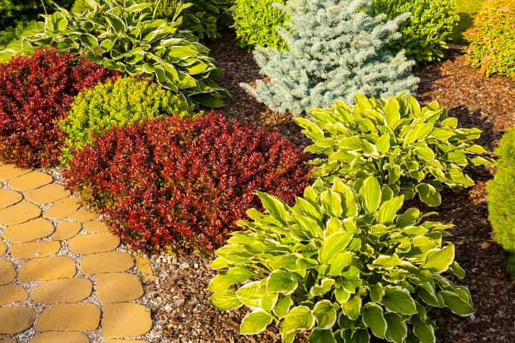 They tie together different areas of a garden seamlessly because they leave no open and awkward spaces