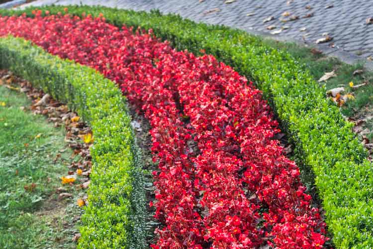 They also act as subtle barriers to protect your planting beds from foot traffic and cars