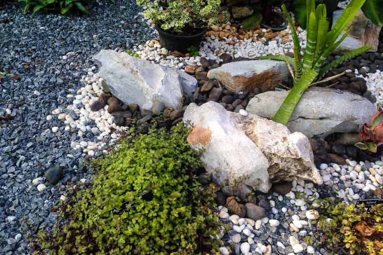 A rock garden works anywhere from a xeriscaping landscape to an elegant circular driveway